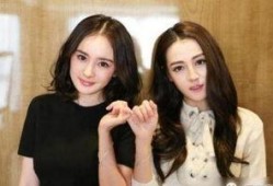 女主爆料娱乐圈瓜的小说,女主爆料，揭开明星背后的秘密
