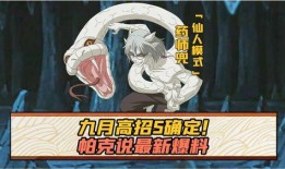 五月高招s官方爆料最新,热门专业、录取政策全解析”