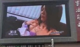 沙滩小店爆料视频播放,热门视频背后的故事与幕后花絮