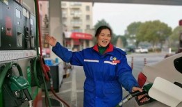 今日爆料美好生活回家路,探寻归途中的温馨与感动