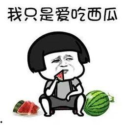 娱乐圈吃瓜动画片有哪些